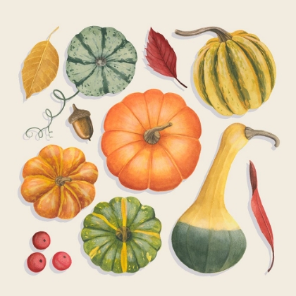 Picture of AUTUMN BOUNTY I
