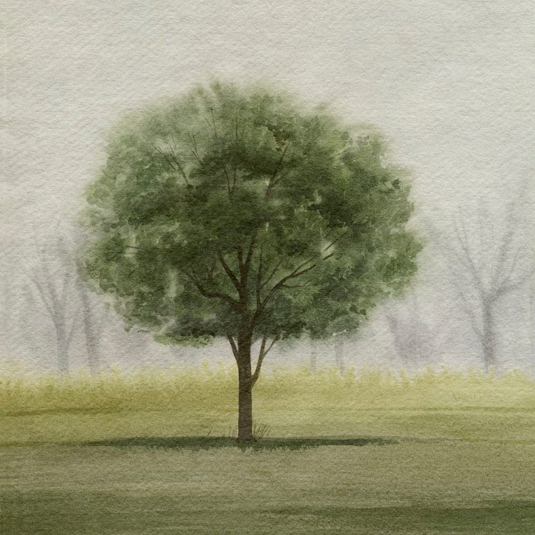 Picture of AWAKENING TREE I