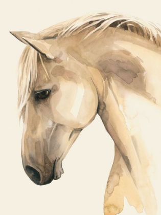 Picture of GOLDEN PALOMINO II