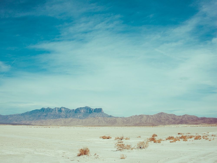 Picture of SALT FLAT WALK II