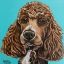 Picture of BROWN POODLE