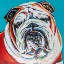 Picture of COLORFUL BULLDOG