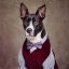 Picture of SHELTER PETS PROJECT - PETEY