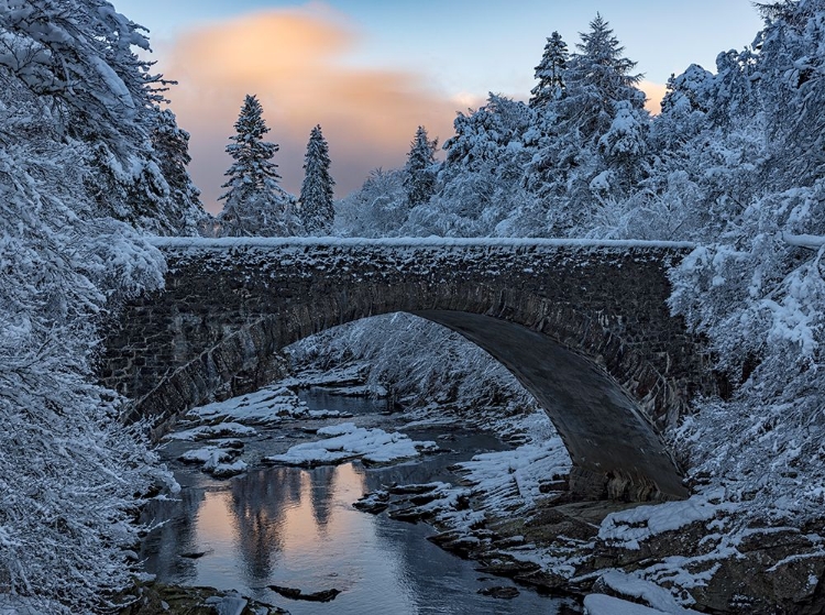 Picture of HIGHLANDS BRIDGE