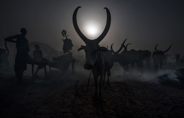 Picture of AT A MUNDARI CATTLE CAMP - SOUTH SUDAN