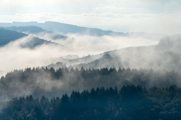 Picture of EARLY MORNING AT MORVAN