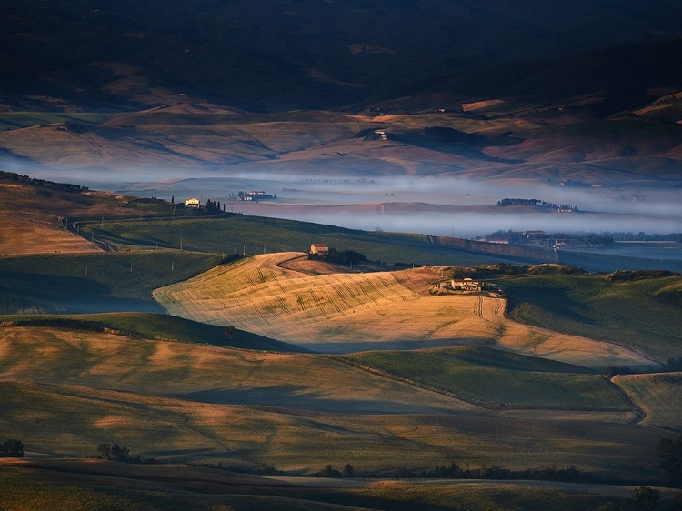 Picture of TOSCANA AMORE MIO