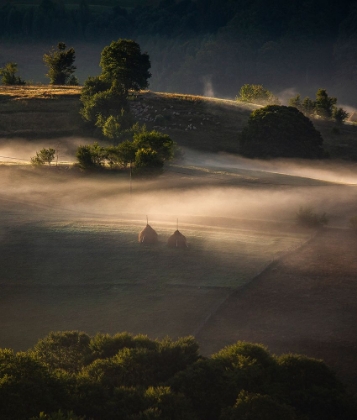 Picture of LIFE IN THE COUNTRYSIDE