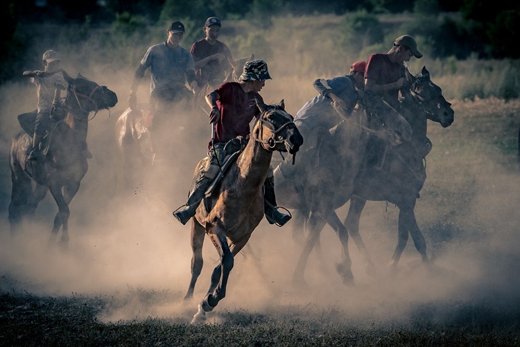 Picture of HORSES