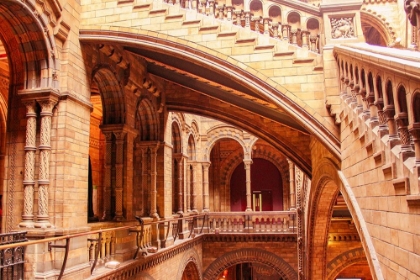 Picture of IN NATURAL HISTORY MUSEUM
