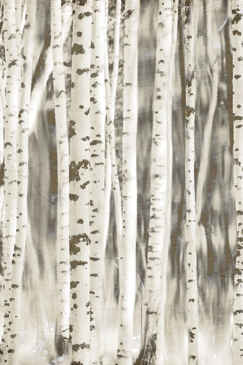 Picture of BIRCHES 2