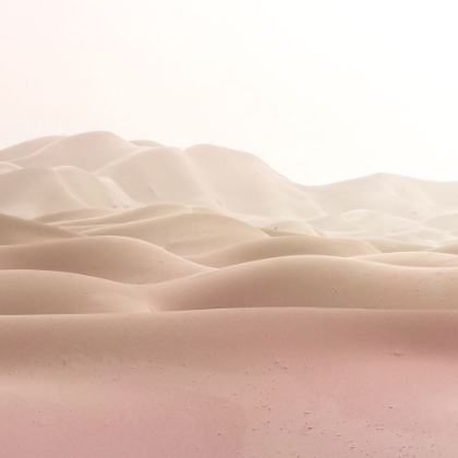 Picture of DESERT SANDS