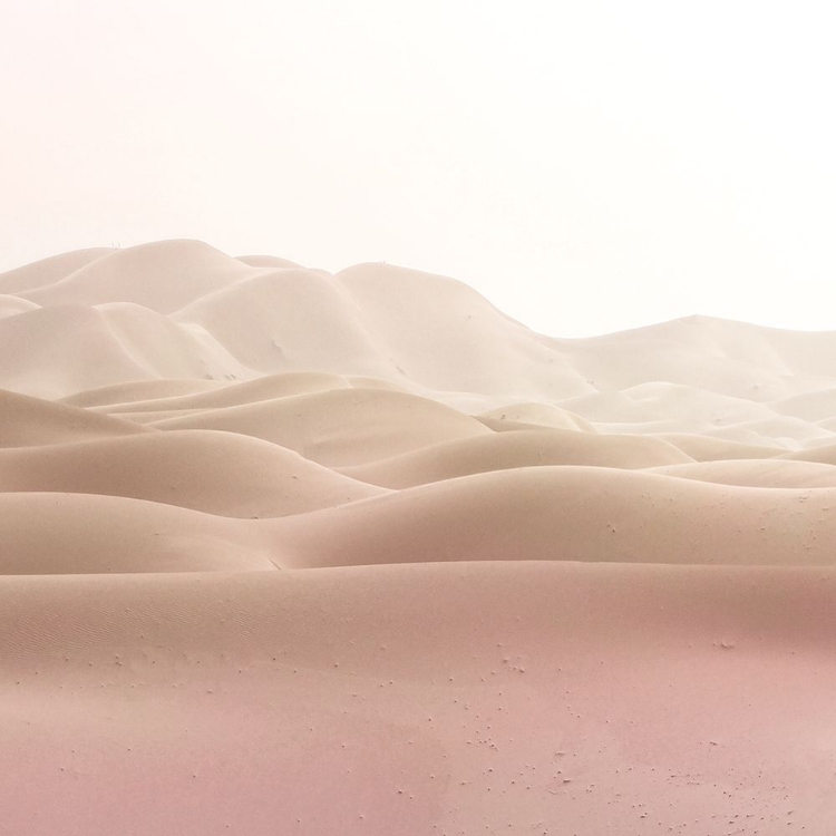 Picture of DESERT SANDS