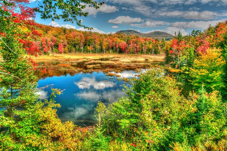 Picture of ADIRONDACK POND