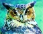 Picture of GREAT HORNED OWL