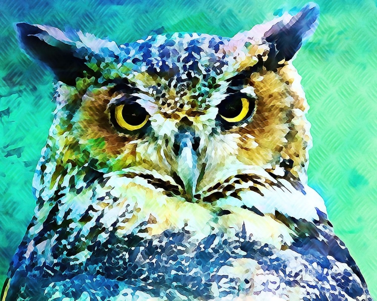 Picture of GREAT HORNED OWL