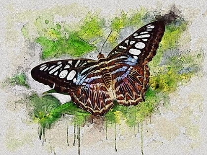 Picture of OUTSTRETCHED WINGS