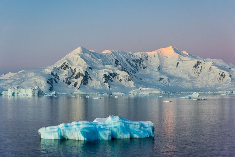 Picture of SNOW COVERED ISLAND AND FLOATING ICE IN SOUTH ATLANTIC OCEAN-ANTARCTICA