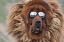 Picture of TIBETAN MASTIFF WEARING SUN GLASSES-TIBET-CHINA