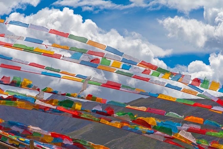 Picture of PRAYER FLAGS IN SIMILA MOUNTAIN-GYANTSE COUNTY-TIBET-CHINA