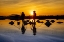 Picture of VIETNAM-DOC LET SALT LAKE-WORKERS HARVESTING THE SALT-EARLY MORNING SUNRISE