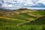 Picture of ITALY-TUSCANY A VIEW OF THE VINEYARDS AND VILLA IN CHIANTI REGION OF TUSCANY-ITALY