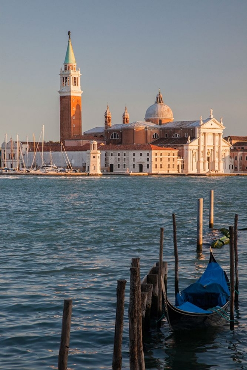 Picture of ITALY-VENICE VIEW OF GONDOLAS IN FRONT OF PIAZZA SAN MARCO (ST MARKS SQUARE)