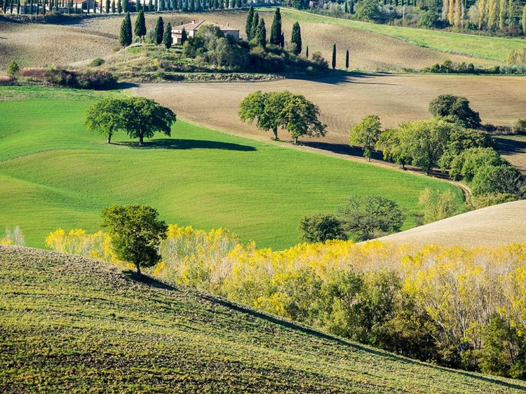 Picture of ITALY-TUSCANY TUSCAN LANDSCAPE