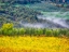 Picture of ITALY-TUSCANY AUTUMN MORNING WITH FOG IN THE TUSCAN VALLEY