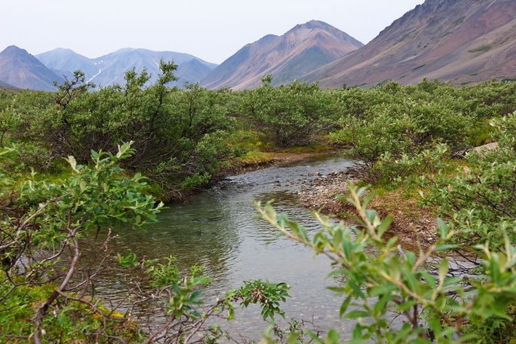 Picture of GLACIER RIVER-YTTYGRAN ISLAND-BERING SEA-RUSSIA FAR EAST