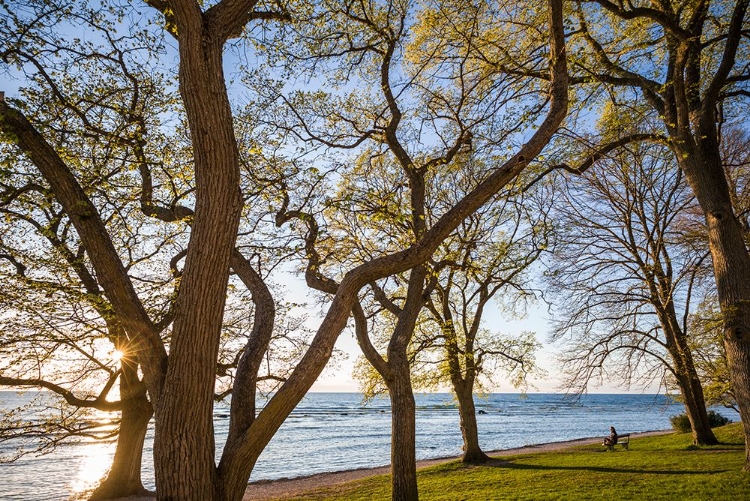 Picture of SWEDEN-GOTLAND ISLAND-VISBY-STRANDPROMENADEN-COASTAL WALKWAY-SUNSET