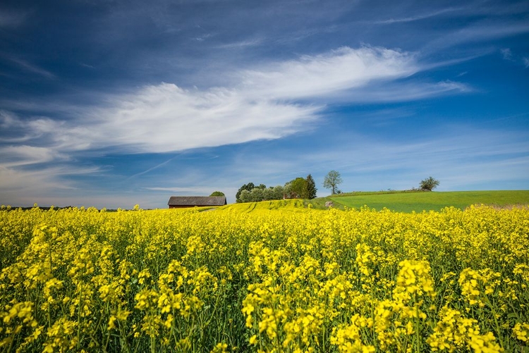 Picture of SWEDEN-BERGS SLUSSAR-SPRINGTIME LANDSCAPE