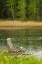 Picture of SWEDEN-BOHUSLAN-SALTO ISLAND-WOODEN CHAIR