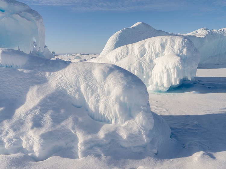 Picture of ICEBERGS FROZEN INTO THE SEA ICE OF THE UUMMANNAQ FJORD SYSTEM DURING WINTER-GREENLAND-DANISH TERRI