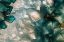 Picture of SLICED ROCK CRYSTALS OF A GEODE