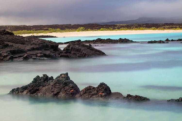 Picture of LAVA ROCKS ALONG TRANQUIL SHORELINE OF SAN CRISTOBAL ISLAND-GALAPAGOS-ECUADOR