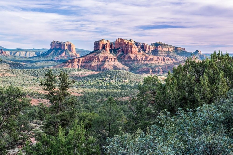 Picture of ARIZONA-SEDONA CATHEDRAL ROCK