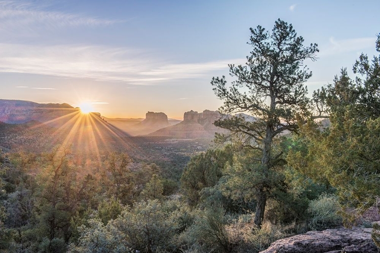 Picture of ARIZONA-SEDONA CATHEDRAL ROCK AT SUNRISE