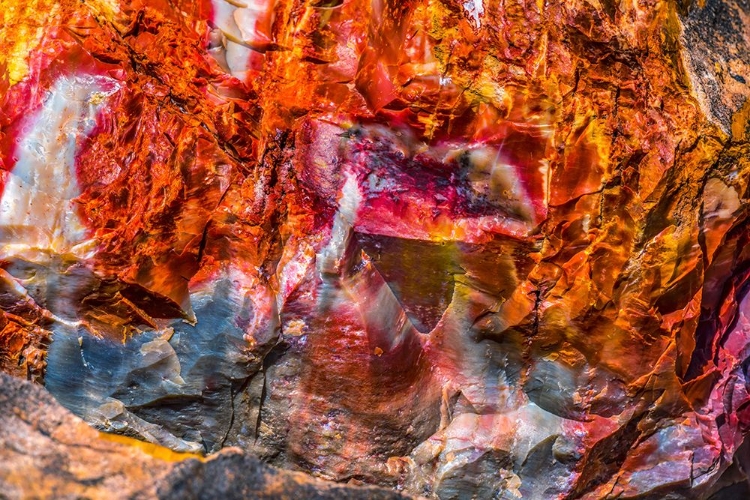 Picture of RED-ORANGE AND YELLOW PETRIFIED WOOD ABSTRACT-BLUE MESA-PETRIFIED FOREST NATIONAL PARK-ARIZONA