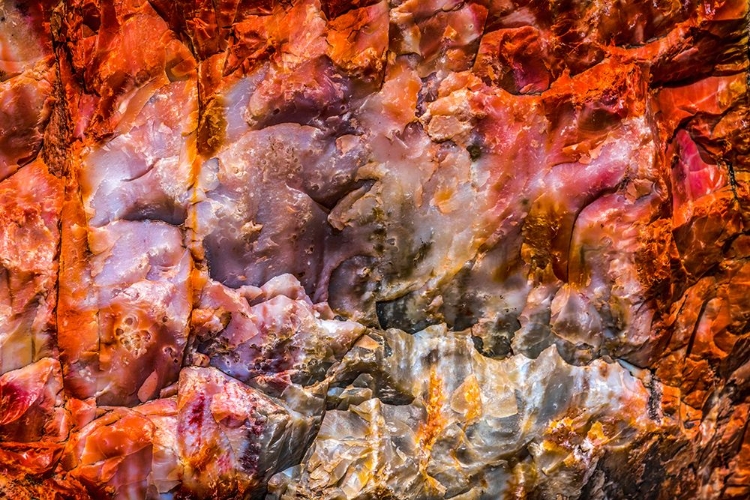 Picture of RED-ORANGE AND YELLOW PETRIFIED WOOD ABSTRACT-BLUE MESA-PETRIFIED FOREST NATIONAL PARK-ARIZONA