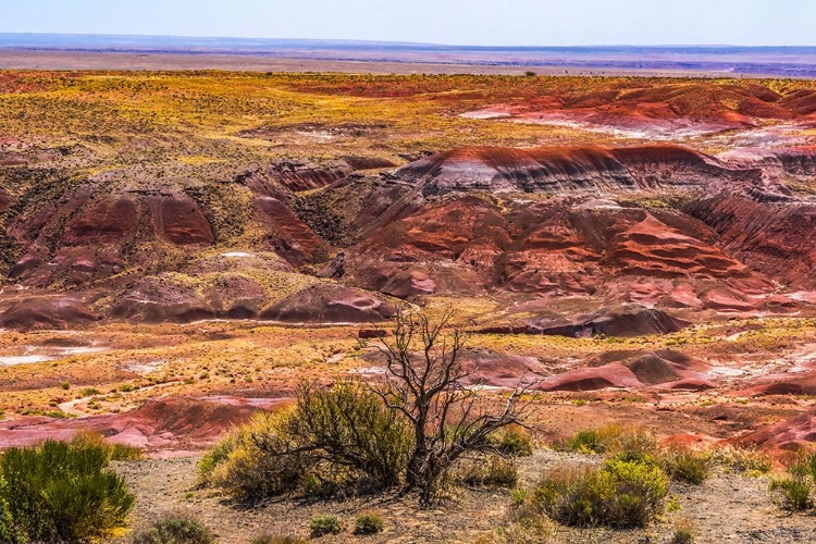 Picture of TAWA POINT-PAINTED DESERT-PETRIFIED FOREST NATIONAL PARK-ARIZONA