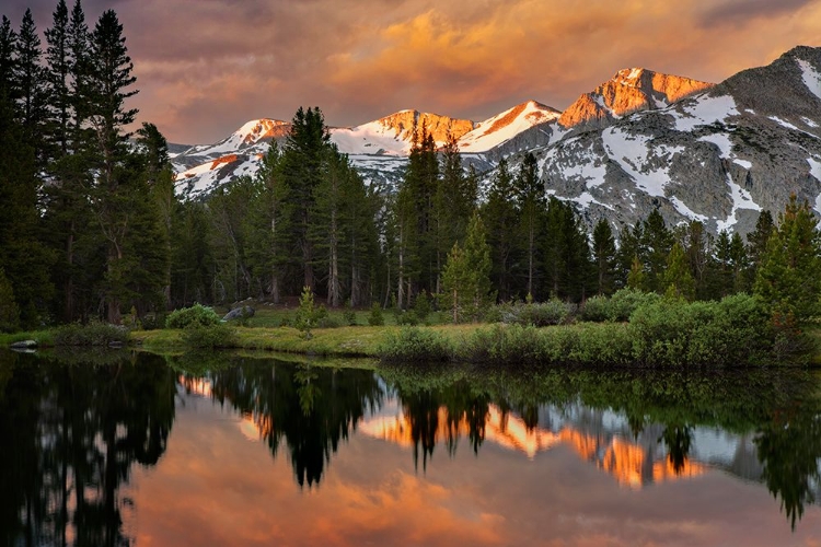 Picture of ALPINE TARN-TUOLUMNE MEADOWS SUNRISE-YOSEMITE NATIONAL PARK-CALIFORNIA