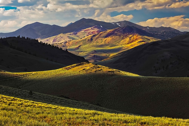 Picture of VIEW OF MEADOW IN THE WHITE MOUNTAINS AT SUNSET-INYO NATIONAL FOREST-CALIFORNIA