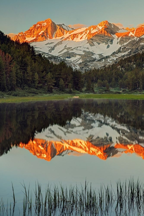 Picture of ALPINE TARN-TUOLUMNE MEADOWS SUNRISE-YOSEMITE NATIONAL PARK-CALIFORNIA