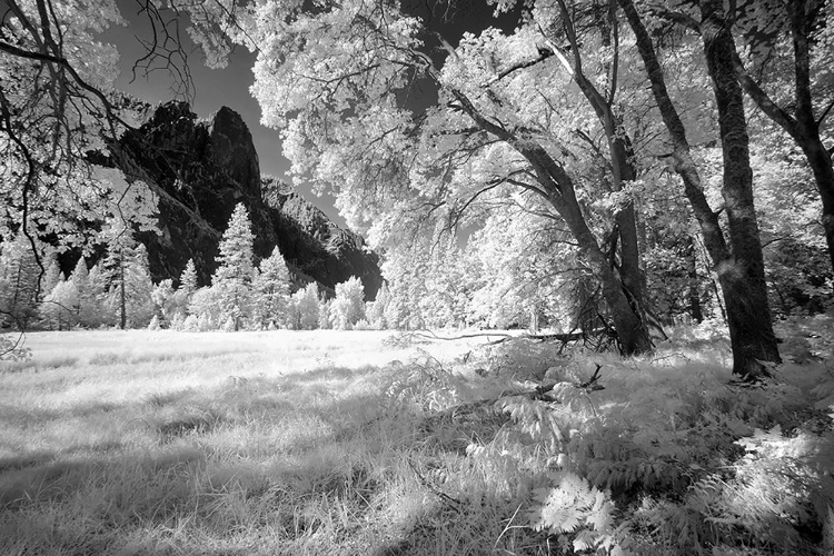 Picture of YOSEMITE VALLEY IN INFRARED BLACK AND WHITE-YOSEMITE NATIONAL PARK-CALIFORNIA