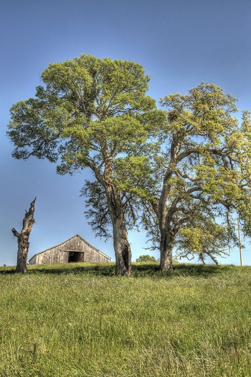 Picture of USA-CALIFORNIA PEACEFUL RURAL SETTING NEAR FOLSOM SUBURBAN SPRAWL IS ONLY A FEW MILES AWAY