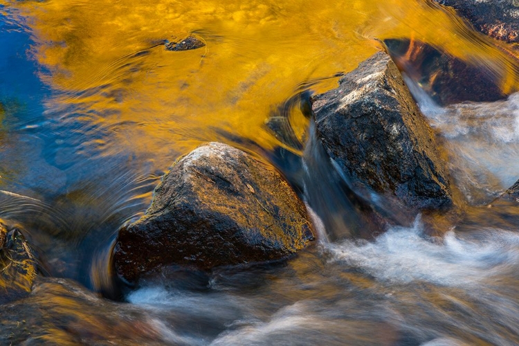 Picture of USA-CALIFORNIA MORNING SUN SHINES GOLD ON THE WATERS OF THE SOUTH FORK AMERICAN RIVER