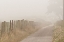 Picture of USA-CALIFORNIA FOG BLANKETS THIS DRIVEWAY AT POINT REYES