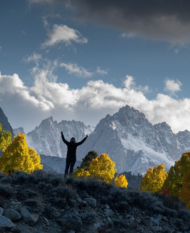 Picture of USA-CALIFORNIA-SIERRA NEVADA BISHOP CREEK-RUGGED PEAKS RISE BEHIND FALL ASPENS