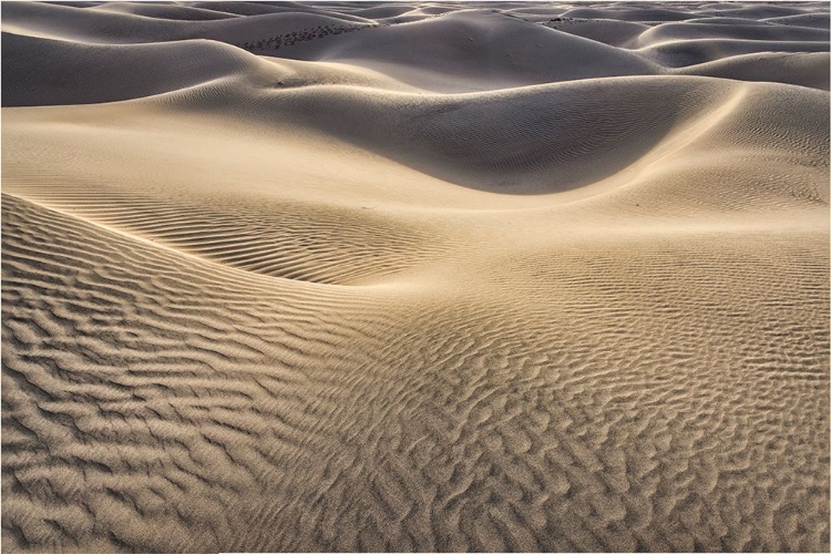 Picture of MESQUITE DUNES-DEATH VALLEY NATIONAL PARK-CALIFORNIA